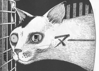 Illustration for article titled AniTAY Drop: 5/3/2016 to 5/9/2016